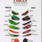 Chiles mexicanos el antes y el después